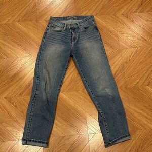 Joe's Jeans Women's Jeans Niki Boyfriend size 25